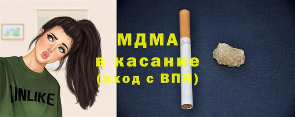 индика Богородицк