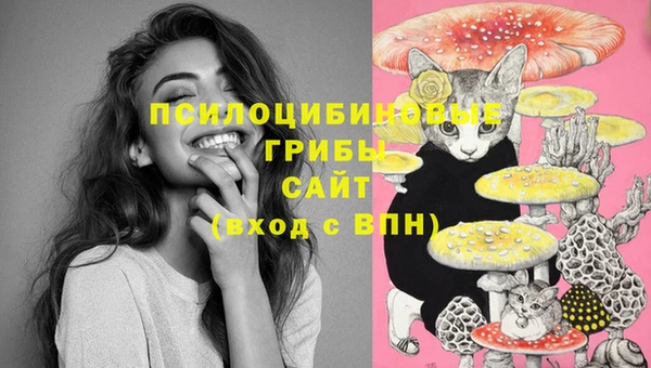 СК Бугульма