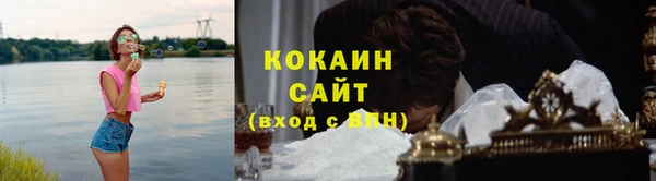 ешки Бородино