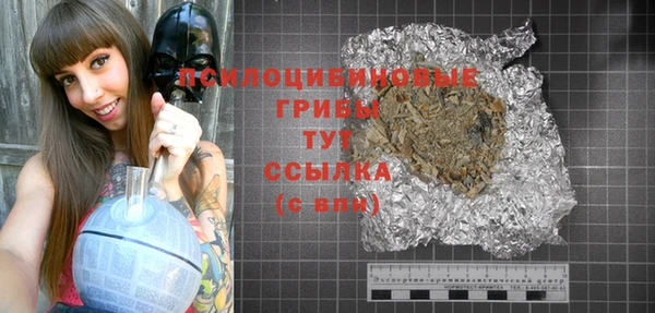 гашик Богданович
