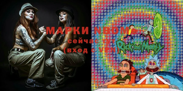 индика Богородицк