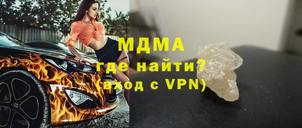 индика Богородицк