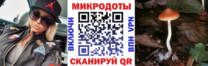 купить закладку  Мыски  Псилоцибиновые грибы ЛСД 